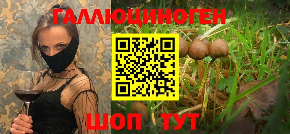 Галлюциногенные грибы мухоморы  где купить наркоту  Алушта  Вход с VPN 